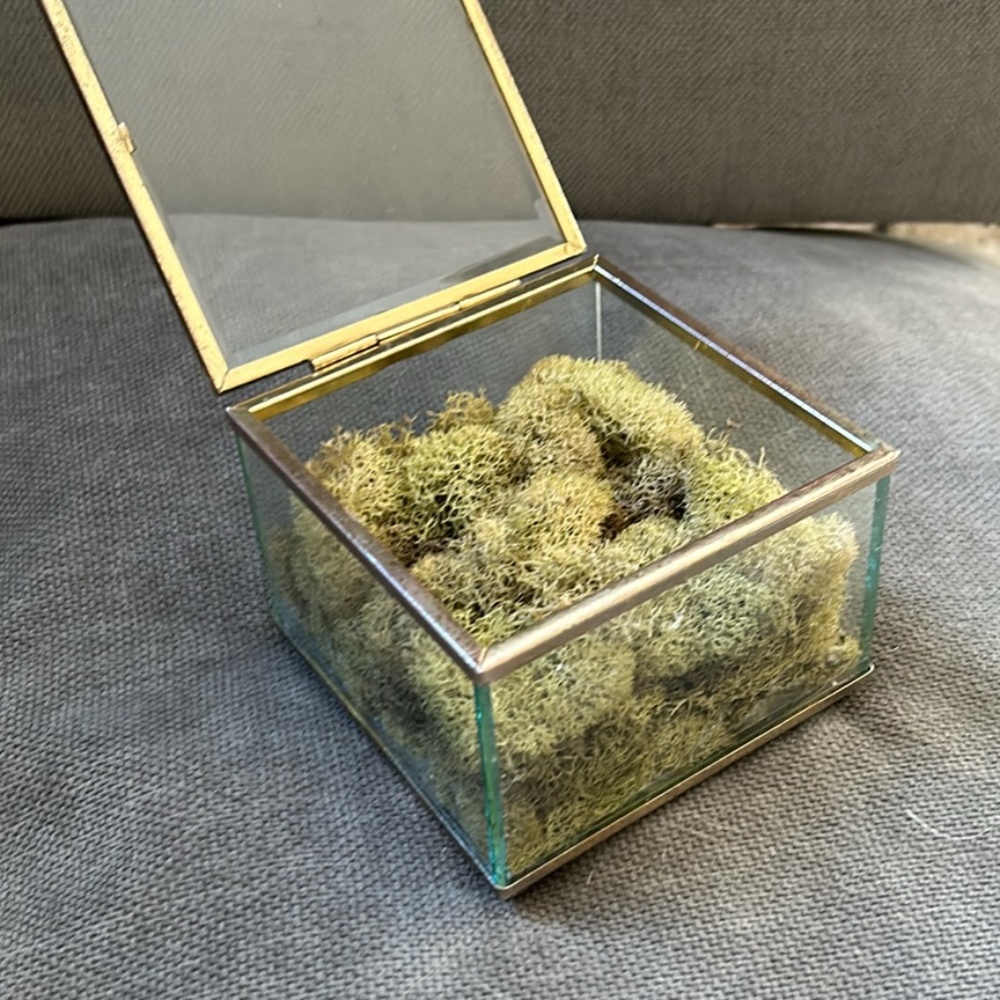 Ring Box - Picture 3 of 4
